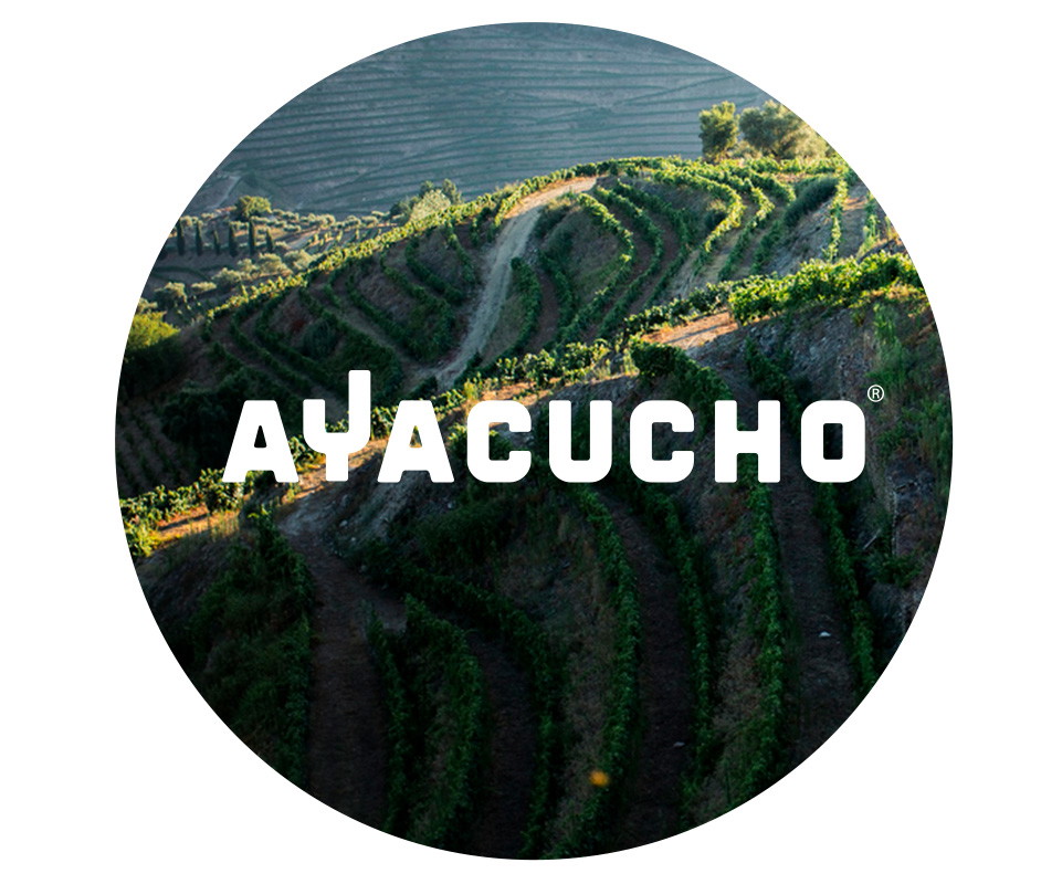Ayacucho logo