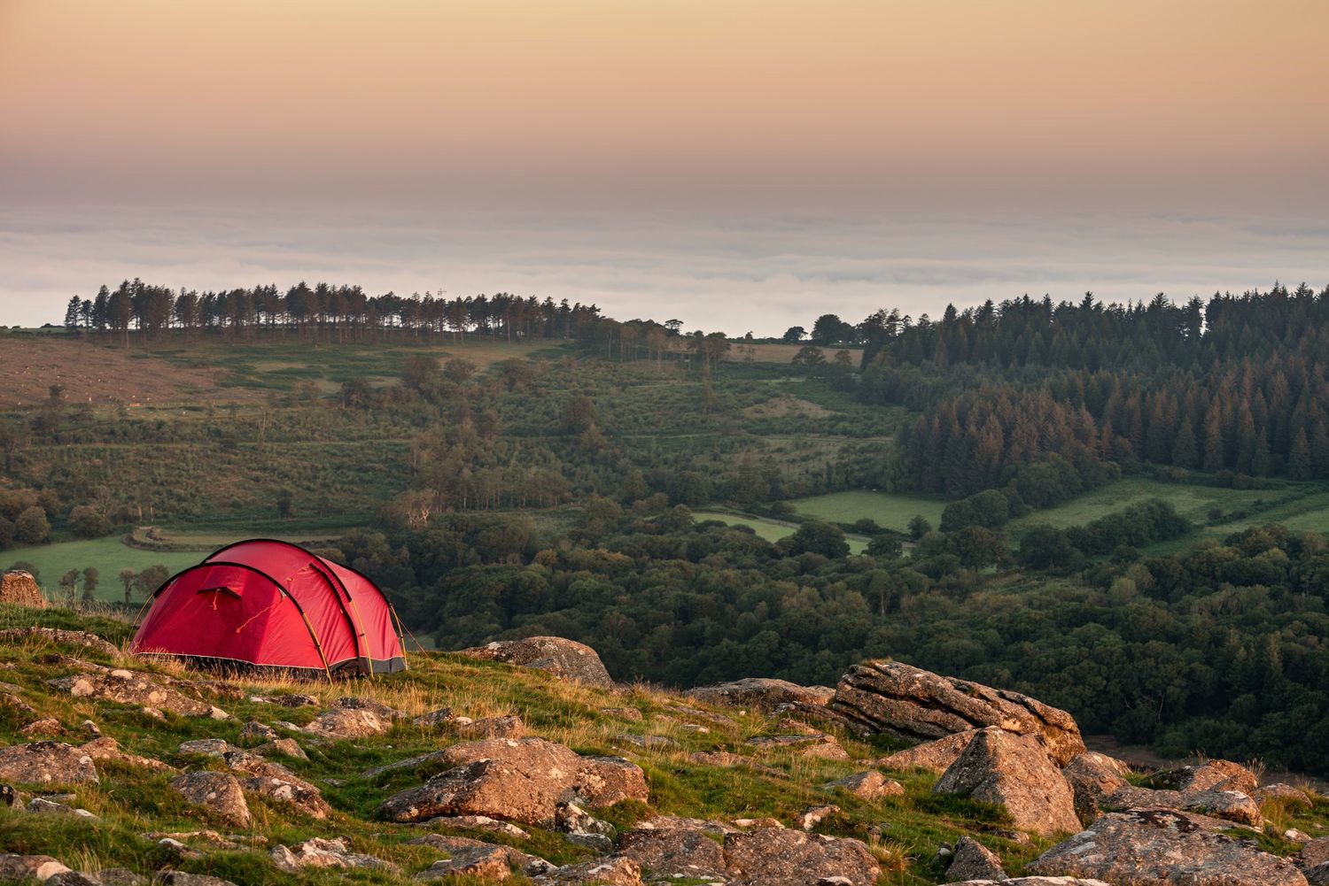 Red tent in the wild 