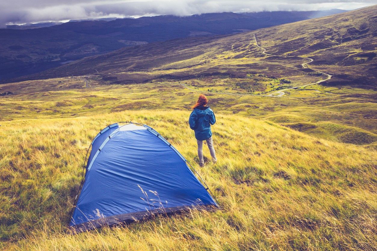 Red tent pitched near woodland
